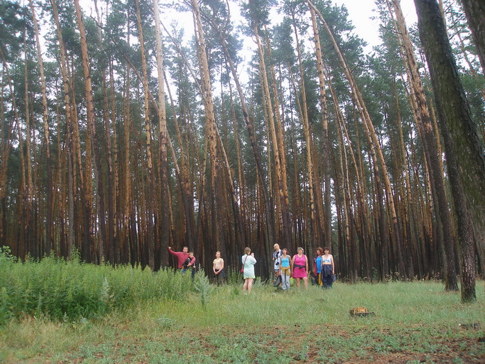 Поход на байдарках по р.Сейм, июль 2009
