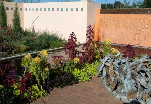 Ботанический сад в Денвере (Колорадо, США) 2015 (1539 відвідувань) Фото Родак Любови (Денвер, США) Ботанический сад в Денвере (Колорадо, США) 2015