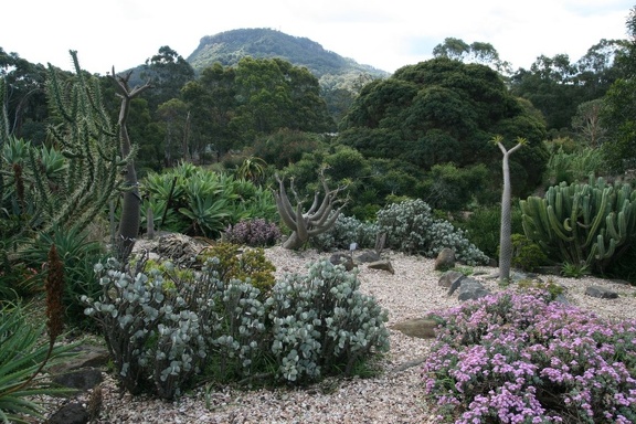 Ботанический сад Вуллонгонгского университета