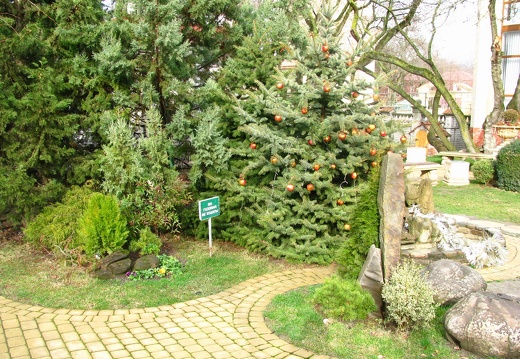 "Старый парк" в Кабардинке (Краснодарский край, РФ) (1499 відвідувань) Фото Владимира Шора (Львов), январь 2012 "Старый парк" в Кабардинке (Краснодарский край, РФ)