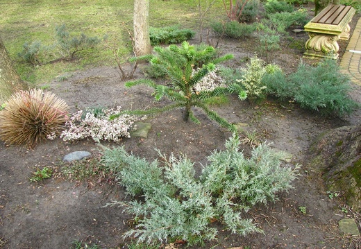 IMG 0918 2 (1586 відвідувань) IMG 0918 2