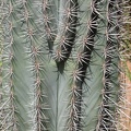 marocco 123 (1841 відвідувань) marocco 123