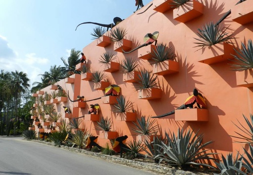 Ботанический сад "Nong Nooch" (2535 відвідувань) Agave
Фото Петра Лапшина (Москва, РФ), 2013 Ботанический сад "Nong Nooch"