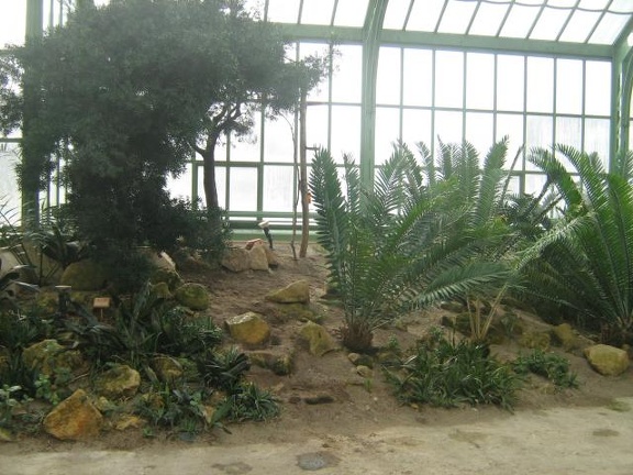 Ботанический сад в Вене (Австрия) (1781 відвідувань) Фото Галина Радкова (Варна, Болгария)
Ботанический сад в Вене (Австрия)