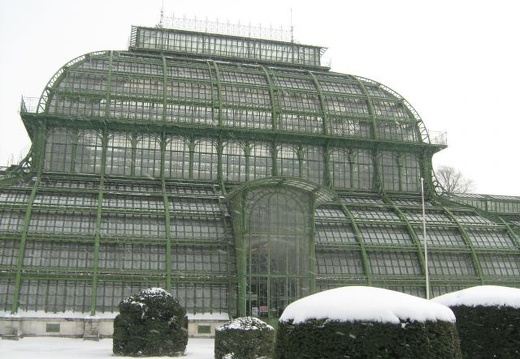 Ботанический сад в Вене (Австрия) (1909 відвідувань) Фото Галина Радкова (Варна, Болгария)
Ботанический сад в Вене (Австрия)