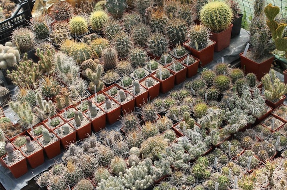 Коллекция Дмитрия Самогородского (г. Кременчуг)