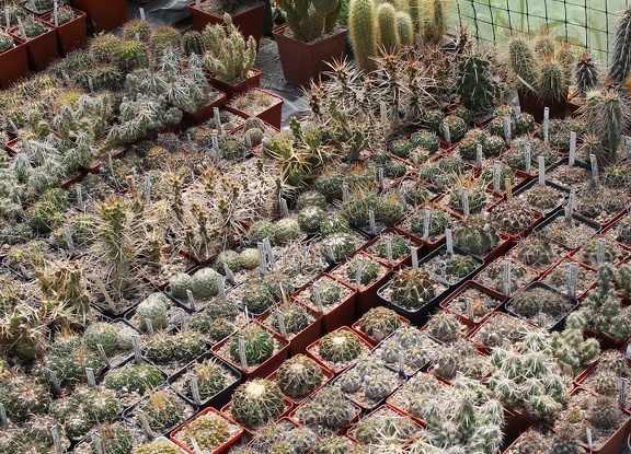 Коллекция Дмитрия Самогородского (г. Кременчуг)