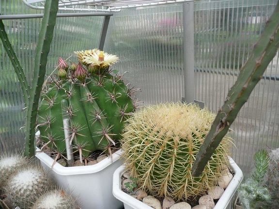 Коллекция Игоря Билык (Белая Церковь)