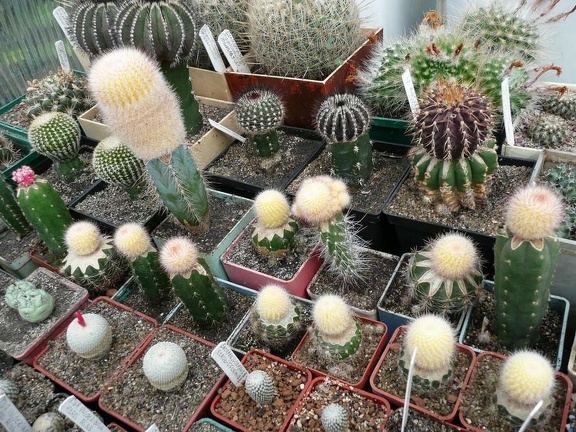 Коллекция Игоря Билык (Белая Церковь)