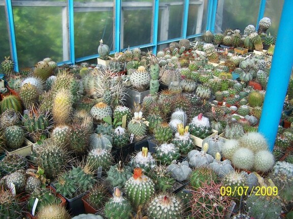 Коллекция Александра и Сергея Червинко (Винница)