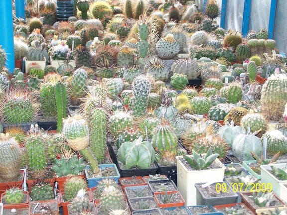 Коллекция Александра и Сергея Червинко (Винница)