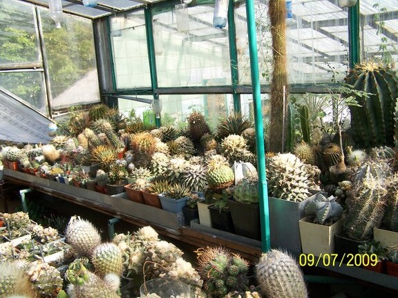 Коллекция Александра и Сергея Червинко (Винница)