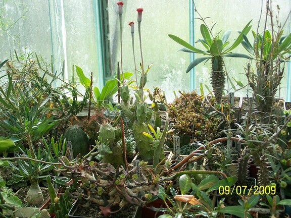 Коллекция Александра и Сергея Червинко (Винница)