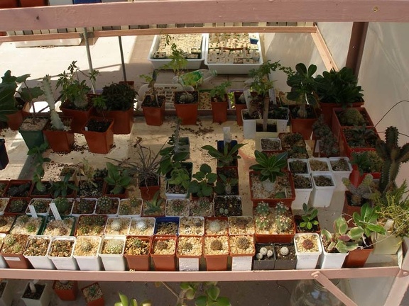 Коллекция Натальи Эллис  (Одесса)