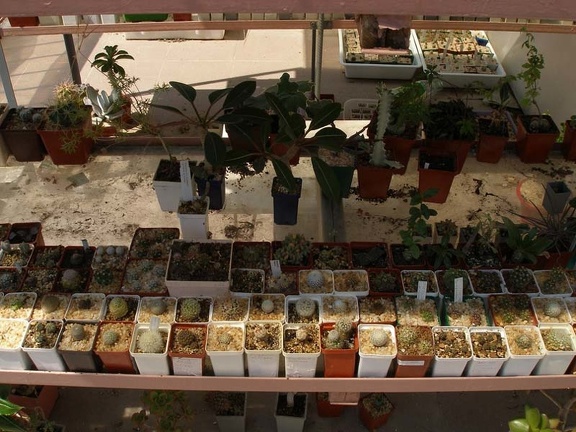 Коллекция Натальи Эллис  (Одесса)