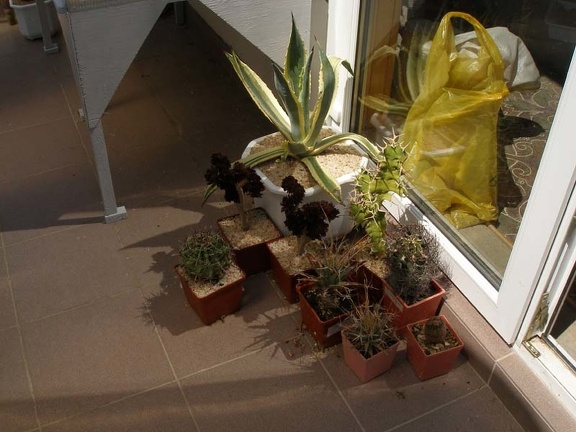 Коллекция Натальи Эллис  (Одесса)