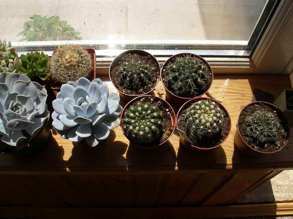 Коллекция Натальи Эллис  (Одесса)