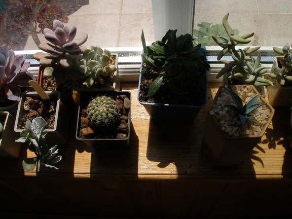 Коллекция Натальи Эллис  (Одесса)