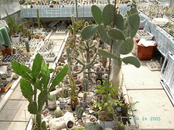 Коллекция Павла Климанова  (Феодосия)