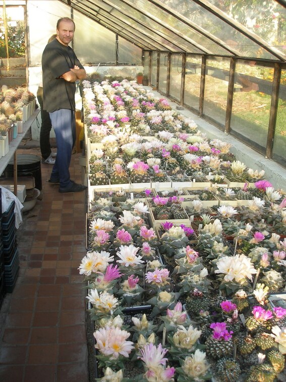 Коллекция Игоря Лавровского (Киев)