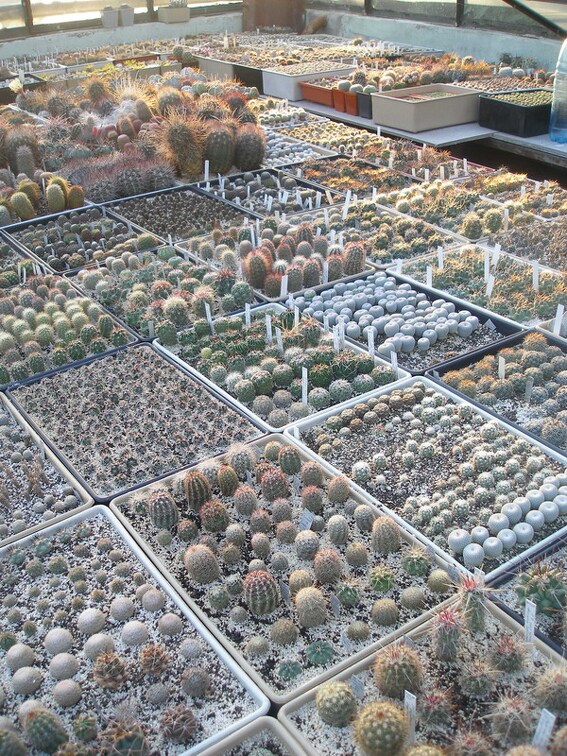 Коллекция Игоря Лавровского (Киев)