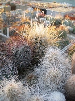 Коллекция Игоря Лавровского (Киев)