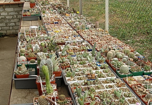 Коллекция Олега Мединского (Одесса) (3885 відвідувань) Фото Ивановой Елены (Киев). Сентябрь 2006
Коллекция Олега Мединского (Одесса)