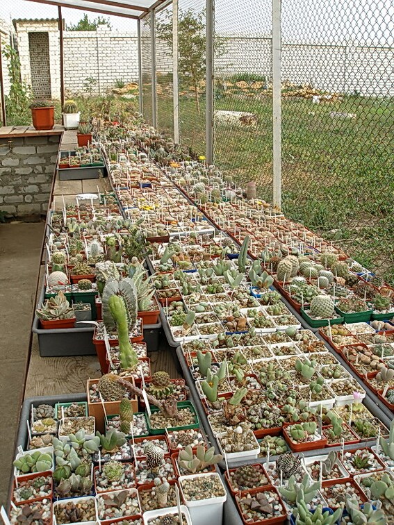 Коллекция Олега Мединского (Одесса)