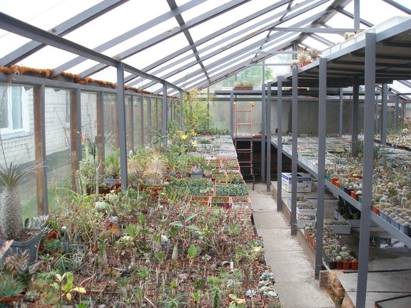 Коллекция Юрия Норенко (Бровары)