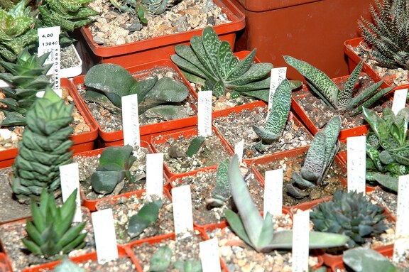 Коллекция Игоря и Елены Сытник (Харьков)