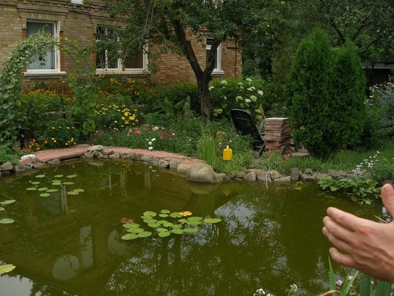 Коллекция Александра Животенко (Ирпень)