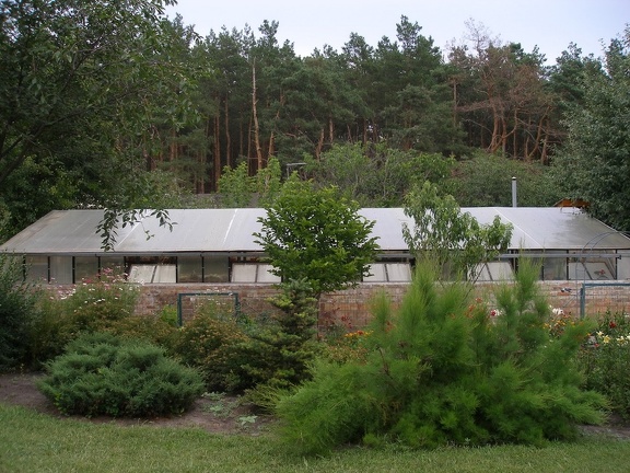 Коллекция Александра Животенко (Ирпень)