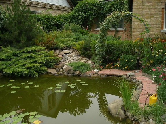 Коллекция Александра Животенко (Ирпень)