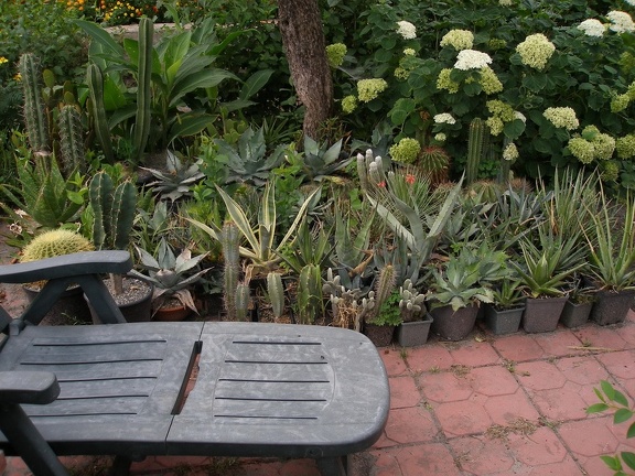 Коллекция Александра Животенко (Ирпень)