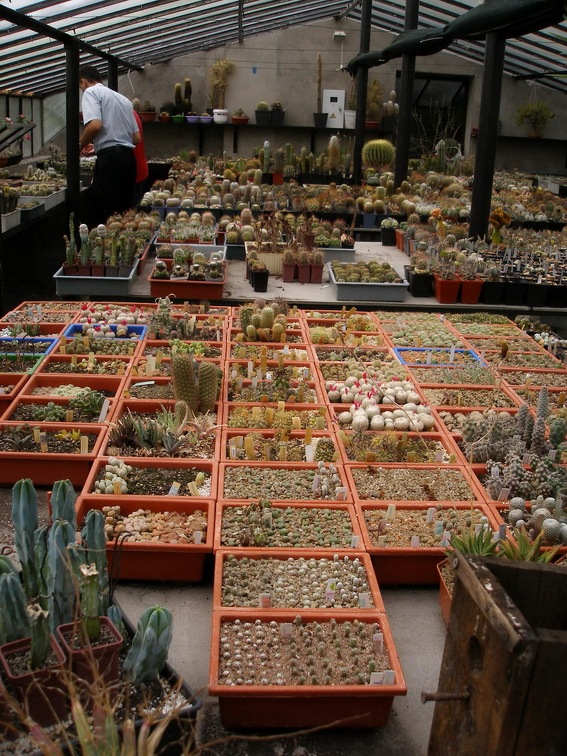 Коллекция Александра Животенко (Ирпень)