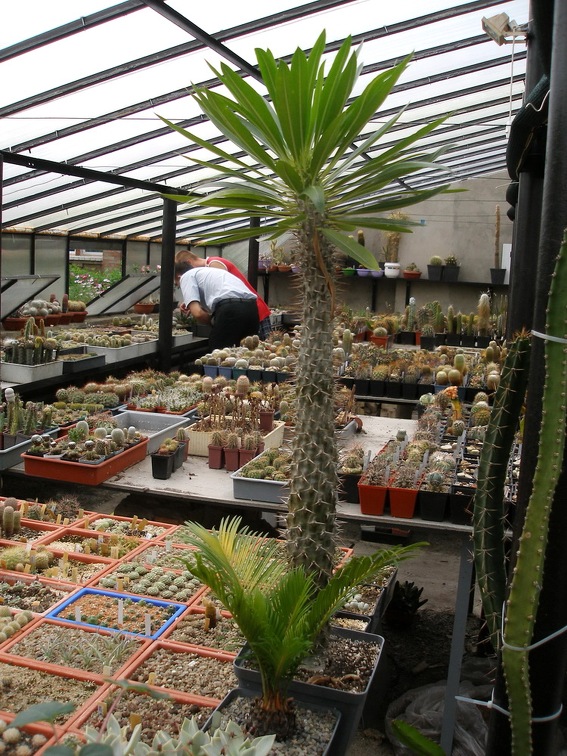 Коллекция Александра Животенко (Ирпень)