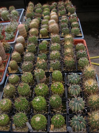 Коллекция Александра Животенко (Ирпень)