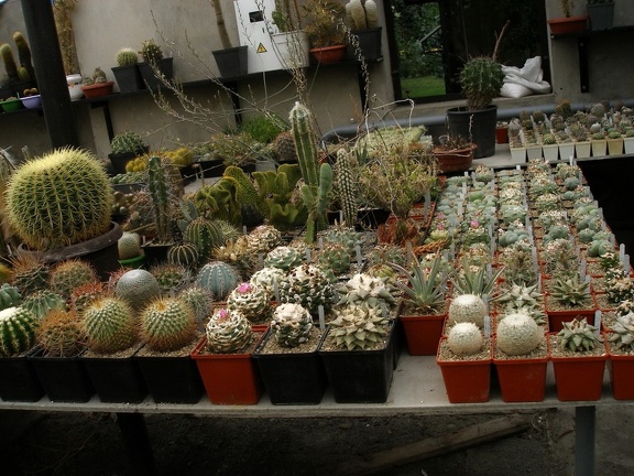 Коллекция Александра Животенко (Ирпень)