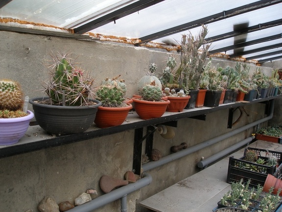 Коллекция Александра Животенко (Ирпень)