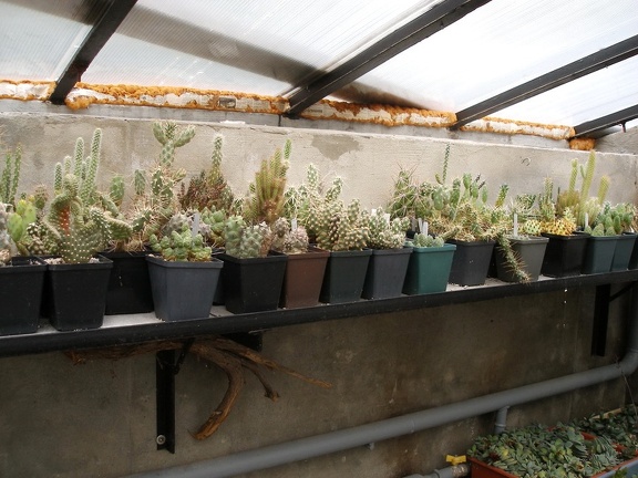 Коллекция Александра Животенко (Ирпень)