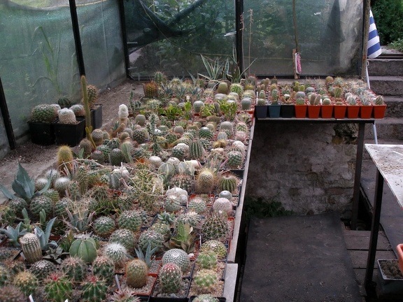 Коллекция Александра Животенко (Ирпень)