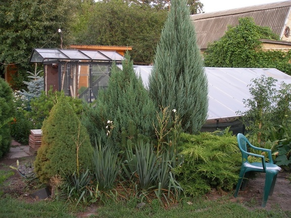 Коллекция Александра Животенко (Ирпень)