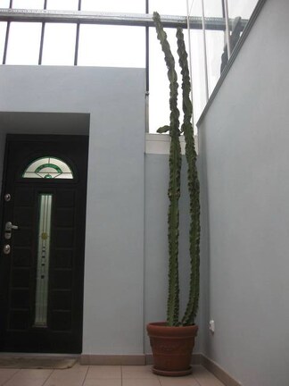 Выставка 1 мая 2009 (Донецк)