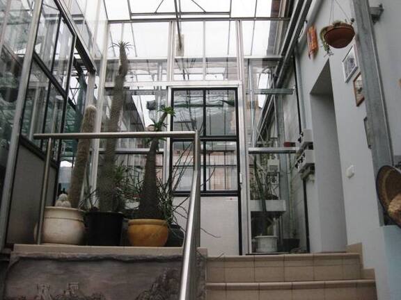 Выставка 1 мая 2009 (Донецк)