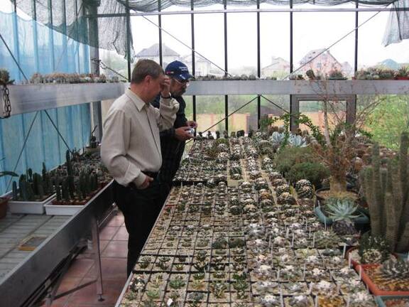 Выставка 1 мая 2009 (Донецк)