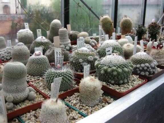 Выставка 1 мая 2009 (Донецк)