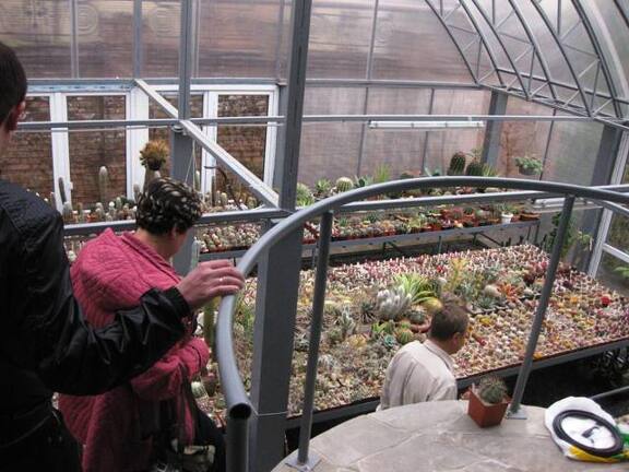 Выставка 1 мая 2009 (Донецк)