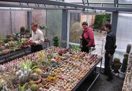 Выставка 1 мая 2009 (Донецк) (1710 відвідувань) Фото Лорана Комяти (Кировоград) Выставка 1 мая 2009 (Донецк)