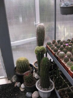 Выставка 1 мая 2009 (Донецк)