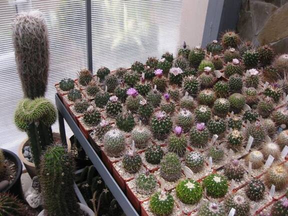 Выставка 1 мая 2009 (Донецк)